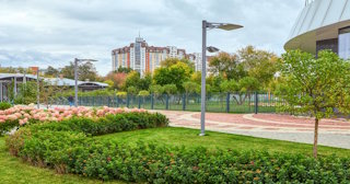 Профессиональное озеленение улиц в Спасске-Дальнем в октябре