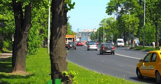 Посадка деревьев и кустарников в Спасске-Дальнем — стоимость от 1242 руб.